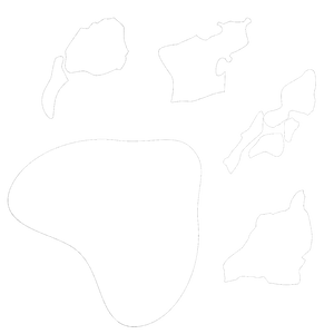 Team Page: 808 Furs